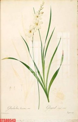 Download file gốc Tranh sơn dầu phương tây tổng hợp STS80543 (in mica) 3D