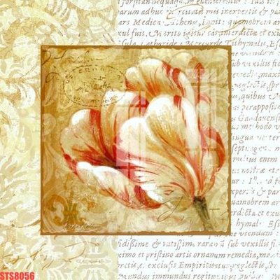 Download file tranh Tranh sơn dầu phương tây tổng hợp STS8056 (file gốc PSD)