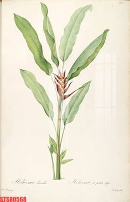 File in ấn Tranh sơn dầu phương tây tổng hợp STS80568 chuyên nghiệp