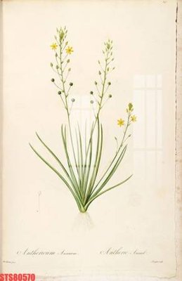 File tranh Tranh sơn dầu phương tây tổng hợp STS80570 (bản gốc) trang trí văn phòng