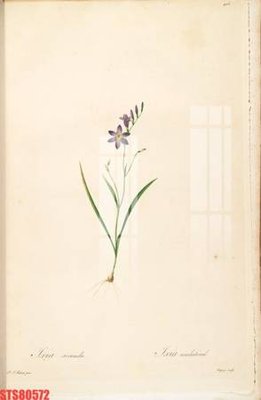 File gốc Tranh sơn dầu phương tây tổng hợp STS80572 (in mica) trang trí