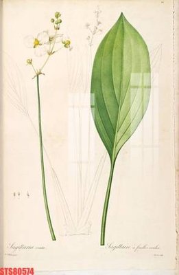 File ảnh Tranh sơn dầu phương tây tổng hợp STS80574 (gốc) cho trang trí nội thất