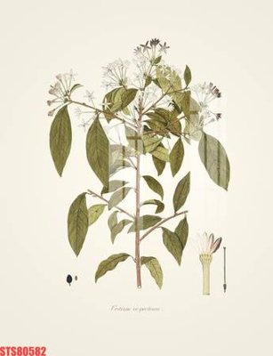 Tải file Tranh sơn dầu phương tây tổng hợp STS80582 (gốc) làm file quảng cáo