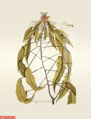 File tranh Tranh sơn dầu phương tây tổng hợp STS80584 (bản gốc) treo quán cafe