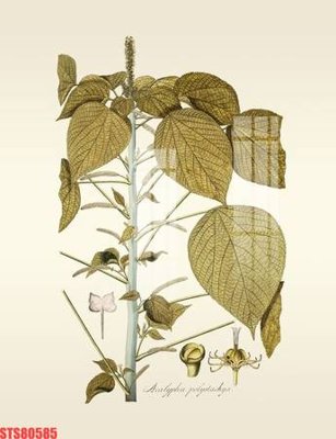 File gốc Tranh sơn dầu phương tây tổng hợp STS80585 (PNG) chất lượng cao