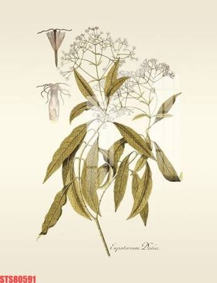 File gốc Tranh sơn dầu phương tây tổng hợp STS80591 cho in ấn và thiết kế