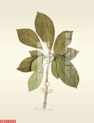 File tranh Tranh sơn dầu phương tây tổng hợp STS80594 (gốc) chủ đề thành phố