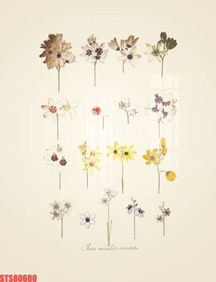 File in mica Tranh sơn dầu phương tây tổng hợp STS80600 (bản gốc) làm vách ngăn