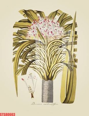 File PSD Tranh sơn dầu phương tây tổng hợp STS80603 (nguyên bản) cho thiết kế