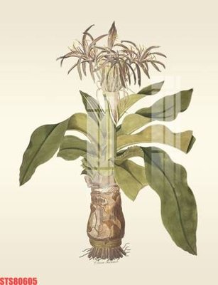 Tệp tin gốc Tranh sơn dầu phương tây tổng hợp STS80605 (chất lượng) Tranh sơn dầu phương tây tổng hợp STS80605