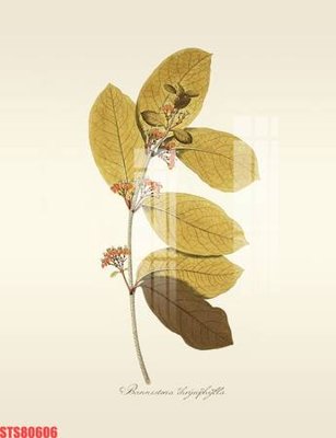 File gốc Tranh sơn dầu phương tây tổng hợp STS80606 (ảnh chi tiết) để in trần