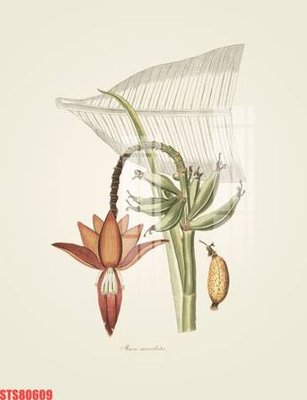 Tải file gốc Tranh sơn dầu phương tây tổng hợp STS80609 (bản PSD) đầy đủ layer