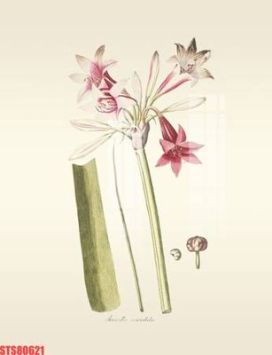 Tải file Tranh sơn dầu phương tây tổng hợp STS80621 (ảnh gốc) độ phân giải 300dpi