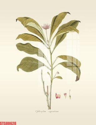 File PSD Tranh sơn dầu phương tây tổng hợp STS80628 (bản gốc) dễ dàng edit