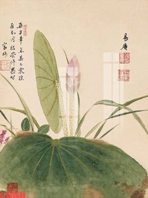 Ảnh gốc Tranh sơn dầu phương tây tổng hợp STS80640 (độ nét cao) in tráng gương