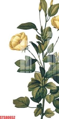 Chi tiết file tranh tráng gương Tranh sơn dầu phương tây tổng hợp STS80652 (ảnh gốc)