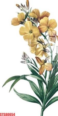 Mua file tranh gốc Tranh sơn dầu phương tây tổng hợp STS80654 tại Filetranh.com