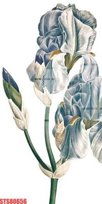 File in trần Tranh sơn dầu phương tây tổng hợp STS80656 (bản gốc) trời sao