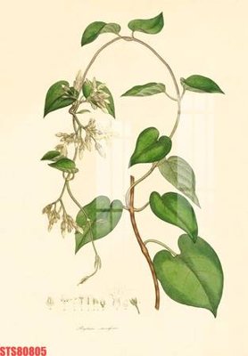 File gốc Tranh sơn dầu phương tây tổng hợp STS80805 (phong cách) châu Âu