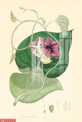 Tải file gốc Tranh sơn dầu phương tây tổng hợp STS80806 (in không vỡ ảnh)