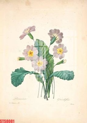 File gốc Tranh sơn dầu phương tây tổng hợp STS8081 (trang trí) phòng trẻ em