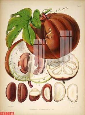 Cung cấp file tranh gốc Tranh sơn dầu phương tây tổng hợp STS80817 độc quyền