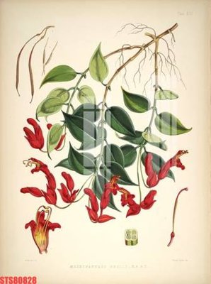 File tranh Tranh sơn dầu phương tây tổng hợp STS80828 (ảnh gốc) độ nét vượt trội