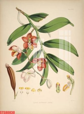 File gốc Tranh sơn dầu phương tây tổng hợp STS80830 (in 3D) nghệ thuật