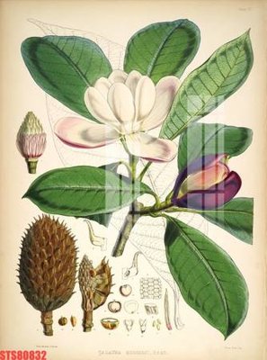 Tải file Tranh sơn dầu phương tây tổng hợp STS80832 (PSD) cho in tranh kính