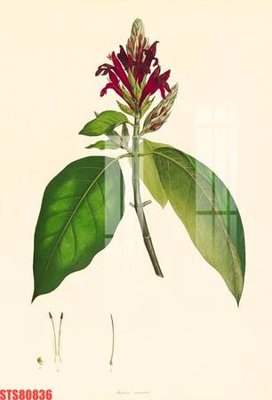 File gốc Tranh sơn dầu phương tây tổng hợp STS80836 (PNG) trong suốt (transparent)