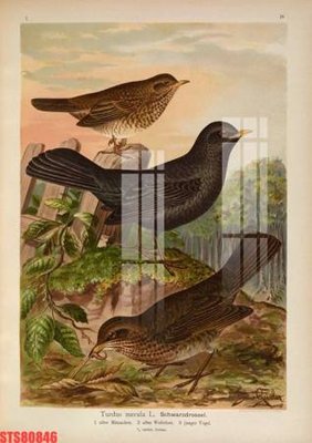 Tệp tin gốc Tranh sơn dầu phương tây tổng hợp STS80846 (dùng cho in ấn) chuyên nghiệp