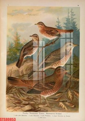 File tranh Tranh sơn dầu phương tây tổng hợp STS80853 (bản gốc) trang trí văn phòng