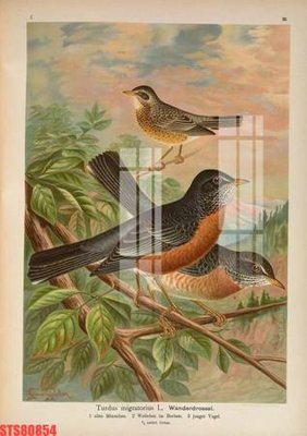 File in ấn Tranh sơn dầu phương tây tổng hợp STS80854 (bản gốc) sắc nét