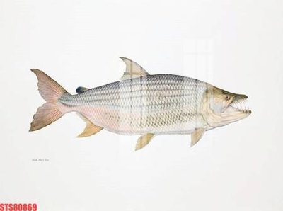 File gốc in ấn Tranh sơn dầu phương tây tổng hợp STS80869 chất lượng vượt trội