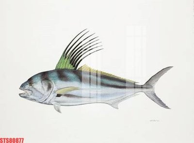 File in trần Tranh sơn dầu phương tây tổng hợp STS80877 (bản gốc) 5D