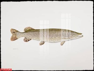 Tải về file gốc Tranh sơn dầu phương tây tổng hợp STS80878 (chuẩn in ấn)