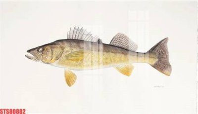 File gốc Tranh sơn dầu phương tây tổng hợp STS80882 (in lụa) tranh phong thủy