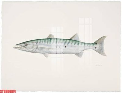 File in mica Tranh sơn dầu phương tây tổng hợp STS80884 (bản gốc) siêu trong