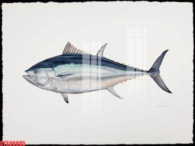 File in lụa Tranh sơn dầu phương tây tổng hợp STS80885 (chất lượng cao) Tranh sơn dầu phương tây tổng hợp STS80885