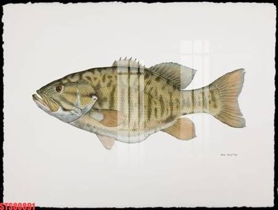 File gốc Tranh sơn dầu phương tây tổng hợp STS80891 (chuẩn màu) cho in offset