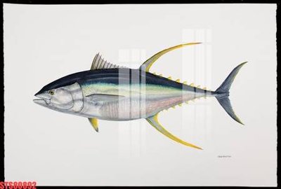 File in mica Tranh sơn dầu phương tây tổng hợp STS80892 (ảnh gốc) đẹp