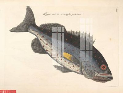 File gốc Tranh sơn dầu phương tây tổng hợp STS80898 (PNG) chất lượng cao