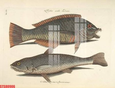 File gốc in mica Tranh sơn dầu phương tây tổng hợp STS80906 chất lượng