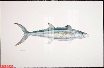 File gốc in ấn Tranh sơn dầu phương tây tổng hợp STS80933 chất lượng vượt trội