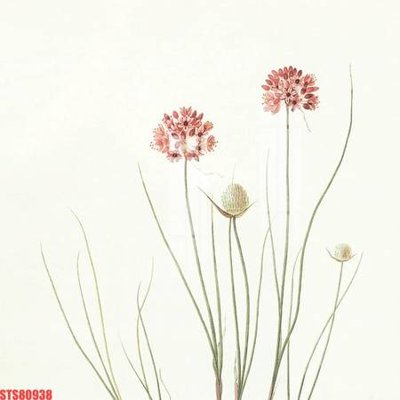 File tranh quảng cáo Tranh sơn dầu phương tây tổng hợp STS80938 (download file gốc)