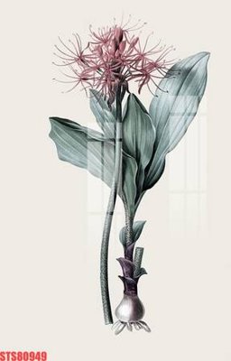 File PSD Tranh sơn dầu phương tây tổng hợp STS80949 (bản gốc) đã tách nền