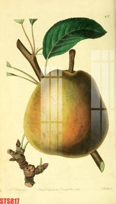 File gốc Tranh sơn dầu phương tây tổng hợp STS817 (in 3D) nghệ thuật