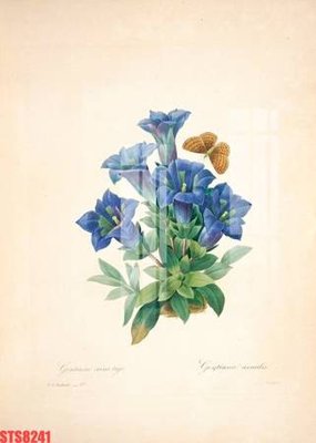 Tải file Tranh sơn dầu phương tây tổng hợp STS8241 (gốc) in tranh tráng gương