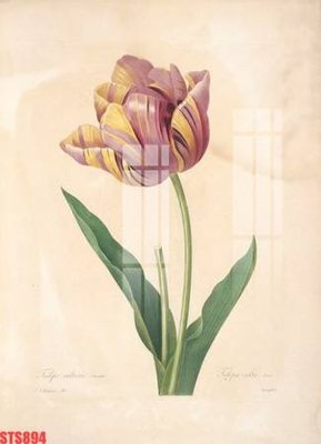 File ảnh Tranh sơn dầu phương tây tổng hợp STS894 (gốc) in backdrop sự kiện