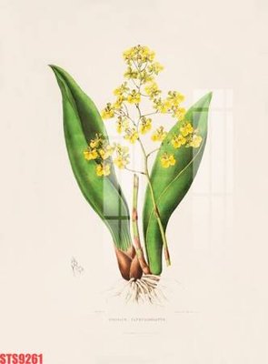 Mua file gốc Tranh sơn dầu phương tây tổng hợp STS9261 (PSD) tại Filetranh.com